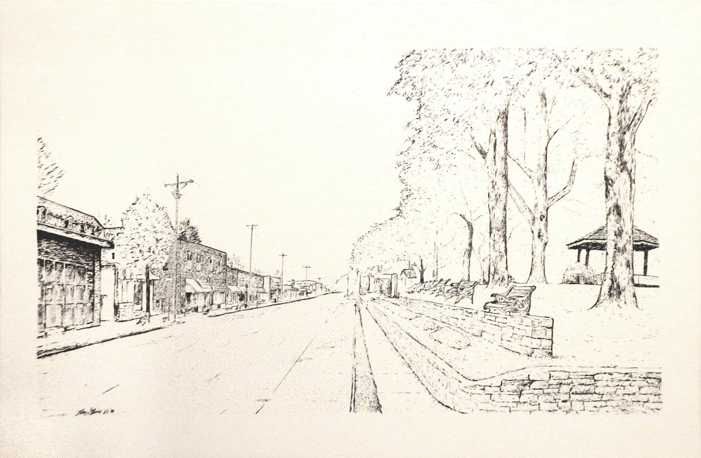 Blowing Rock Downtown Art Print by Tom Stine