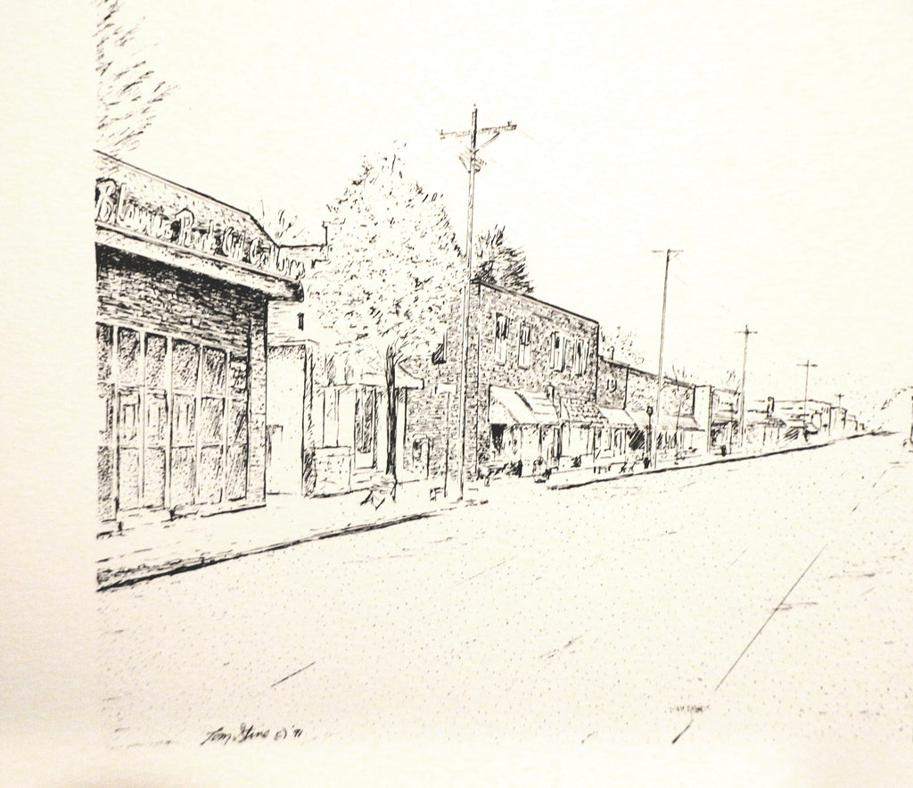 Blowing Rock Downtown Art Print by Tom Stine
