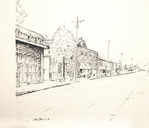 Blowing Rock Downtown Art Print by Tom Stine